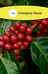 Rack Card - 002