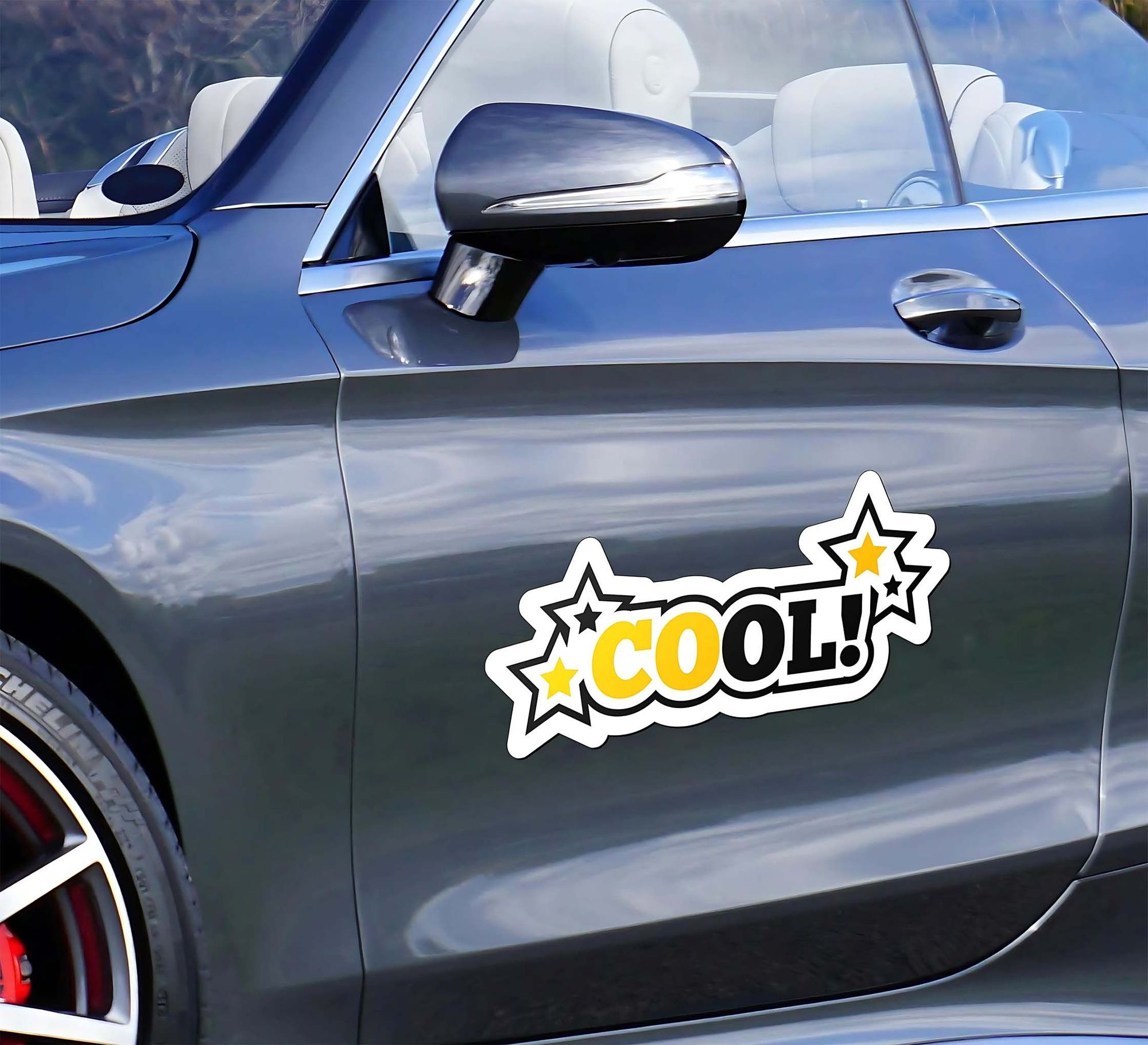 Die-Cut Magnetic Signs