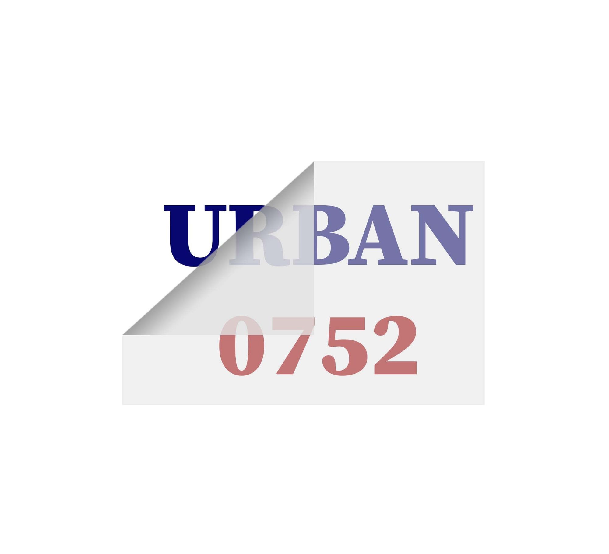 Snowmobile Lettering