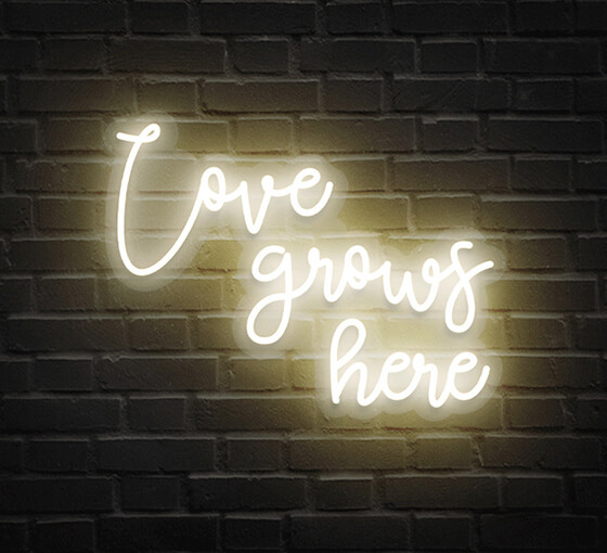 BBLGHNS81_Warm-White