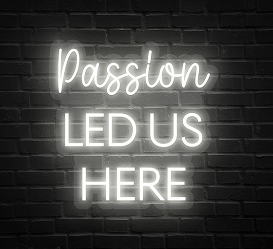 BBPLUHNS106_Pure-White