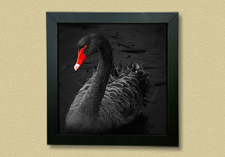 Clip On Frame (Display Frames) 2 - Circleone