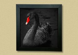 Clip On Frame (Display Frames) 2 - Circleone