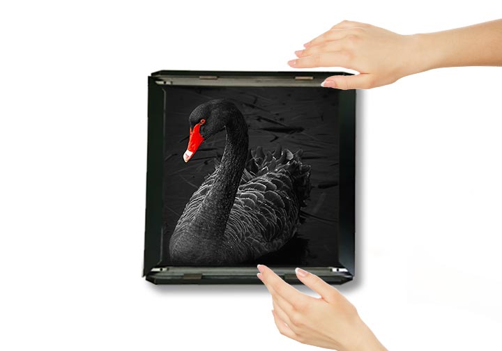 Clip On Frame (Display Frames) 3 - Circleone