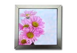 Clip On Frame (Display Frames) - Circleone