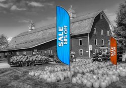 Feather Flags (Flags) 6 - Circleone