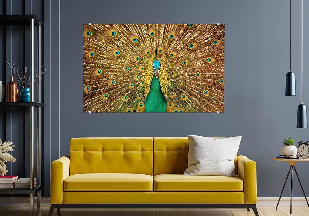 Glass Prints - 1 (Wall Art) - Circleone