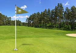 Golf Flags - Triangle (Flags) 5 - Circleone