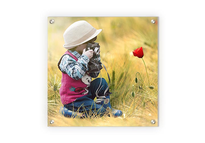 PVC Foam Board signs  2 - Circleone