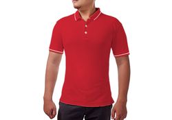 https://d1xv5jidmf7h0f.cloudfront.net/stagecircle/images/products_gallery_images/Plain-T-Shirt-Polo-Neck-2_thumb_03135405202301.jpg