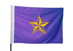 Rectangle Flag (Flags) 3 - Circleone