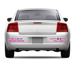 die-cut-bumper-stickers-clear-5