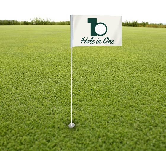 https://d1xv5jidmf7h0f.cloudfront.net/stagecircle/images/products_gallery_images/golf-flags_ractangle_05415012202305.jpg